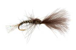 Lewis' March Brown Emerger