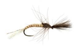 Lewis' Mayfly Emerger