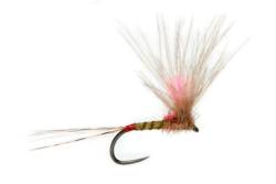 Juglaret's Red Flash Mayfly Imago