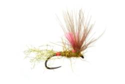 Juglaret's Red Flash Mayfly Sub