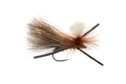 Bassett's Extra Terrestrial