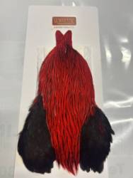 Whiting Brahma Rooster Cape - Badger Dyed Red