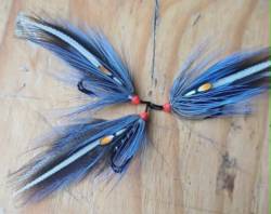 Elver Fly