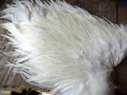 Irish Fly Supplies XL American Rooster Saddle - White Natural