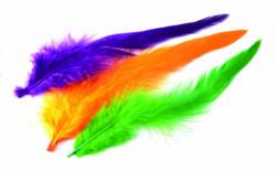 Veniards Schlappen Feathers