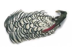Veniards Amherst Pheasant - All Types
