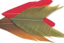 Veniards Condor Substitute