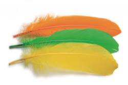 Veniards Goose Shoulder Stiffs