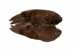 Veniards Grouse Whole Wings