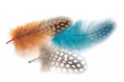 Veniards Guinea Fowl Plumage 2 Gram Mixed