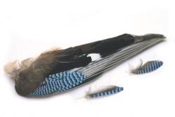 Veniards Jay Wing Hackles