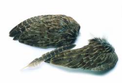 Veniards Partridge English Grey Whole Wings