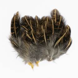 Veniards Partridge English Grey Striped Shoulder Feathers