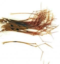 Veniards Cock Pheasant Daddy Legs Natural