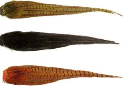 Veniards Cock Pheasant Complete Tail Dyed