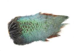 Veniards Cock Pheasant Back Patches