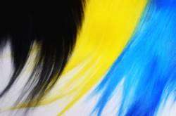 Franc N Snaelda Supreme Goat