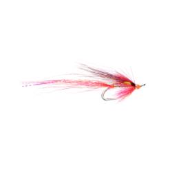 Caledonia Lady Meikleour P Double GP5
