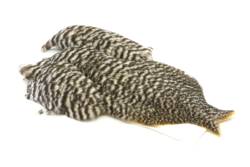 Whiting 4 B's Hen Cape - Grizzly