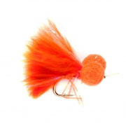 Booby Orange Straggle
