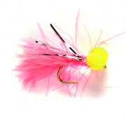 Booby Coral Mini
