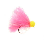 Booby Pseudo Peaches & Cream