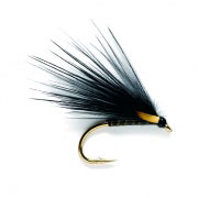 Cormorant Quill Flashback
