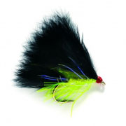 Cat Straggle Black