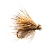 CdC Elk