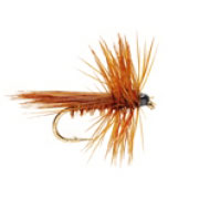 Brown Fluttering