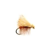 Elk Wing Orange