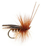 Saville Super Dark Brown