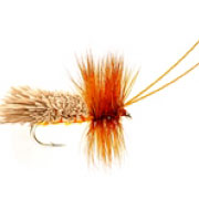 Goddard Amber