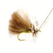 High Rider CdC Olive