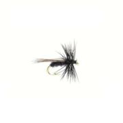 Mini Black