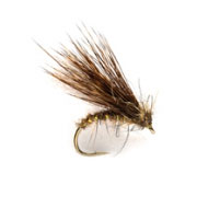 Sedgehammer Hare's Ear