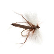 Barbless Aero Daddy