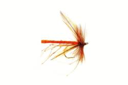 Dads Daddy Orange Fluoro