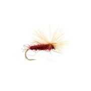 Bills Big Red