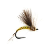 Barbless CdC Olive