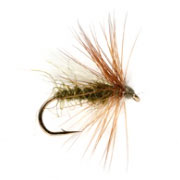 Bobs Bits Olive