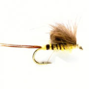 Taff's CdC Danica
