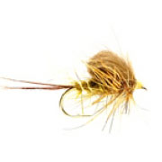 Taff's CdC Dark Olive