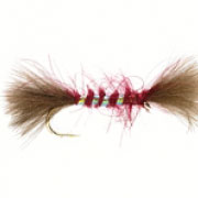 Shipmans Claret CdC.