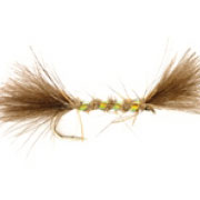 Shipman's Hares Ear CdC