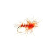 Shipman's Orange