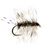 Griffiths Gnat