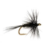 Midge Black