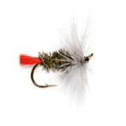 Grayling Witch