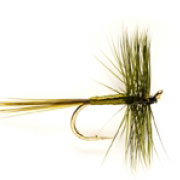 Large Dark Olive